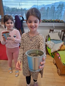 image-2542